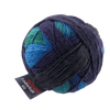 Schoppel Wolle Yarn Blue Kraut will be Blue Kraut SCHOPPEL | Zauberball® 100 Pro | 1391P