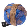 Schoppel Wolle Yarn Early Bird SCHOPPEL | Gradient | 1395