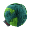 Schoppel Wolle Yarn Evergreen SCHOPPEL | Lace Ball 100 Pro | 1392P