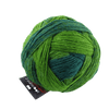 Schoppel Wolle Yarn Evergreen SCHOPPEL | Zauberball® 100 Pro | 1391P