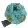 Schoppel Wolle Yarn Fiddlesticks SCHOPPEL | Gradient | 1395