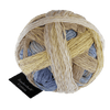 Schoppel Wolle Yarn Field Test SCHOPPEL | Zauberball® Cotton | 1576