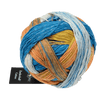 Schoppel Wolle Yarn Frühaufsteher SCHOPPEL | Zauberball® Cotton | 1576