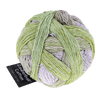 Schoppel Wolle Yarn Greenhorn SCHOPPEL | Zauberball® Cotton | 1576