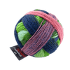 Schoppel Wolle Yarn Not the Foggiest SCHOPPEL | Zauberball® 100 Pro | 1391P