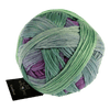 Schoppel Wolle Yarn Okey-Dokey SCHOPPEL | Gradient | 1395