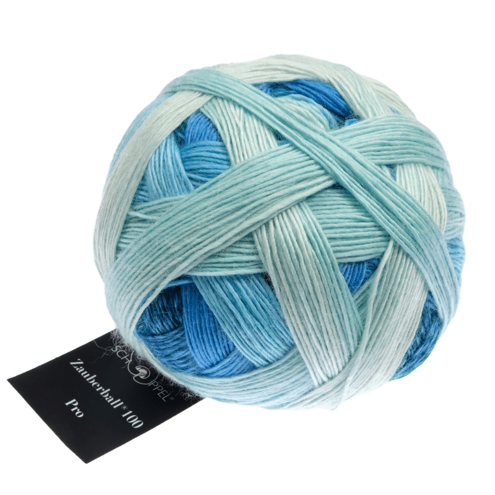 Schoppel Wolle Yarn Overdose SCHOPPEL | Zauberball® 100 Pro | 1391P