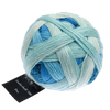 Schoppel Wolle Yarn Overdose SCHOPPEL | Zauberball® 100 Pro | 1391P