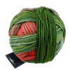Schoppel Wolle Yarn Parrot SCHOPPEL | Gradient | 1395
