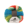 Schoppel Wolle Yarn Parrot SCHOPPEL | Reggae Ombré | 690ombre