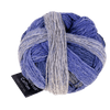 Schoppel Wolle Yarn Plan B SCHOPPEL | Zauberball® Cotton | 1576