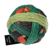 Schoppel Wolle Yarn Planet Autumn SCHOPPEL | Zauberball® Cotton | 1576
