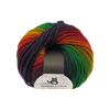 Schoppel Wolle Yarn Potpourri SCHOPPEL | Reggae Ombré | 690ombre