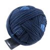 Schoppel Wolle Yarn Stone Washed SCHOPPEL | Gradient | 1395