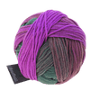Schoppel Wolle Yarn Tea Ceremony SCHOPPEL | Gradient | 1395