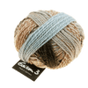Schoppel Wolle Yarn Trace Minerals 2349 SCHOPPEL | Edition 3 | 1523