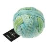 Schoppel Wolle Yarn Undertones 2598 SCHOPPEL | Edition 3 | 1523