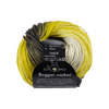 Schoppel Wolle Yarn Vitamin C SCHOPPEL | Reggae Ombré | 690ombre