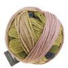 Schoppel Wolle Yarn Woman in the Woods SCHOPPEL | Gradient | 1395