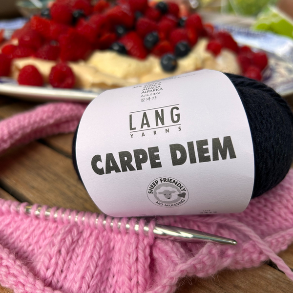 Knitting with CARPE DIEM