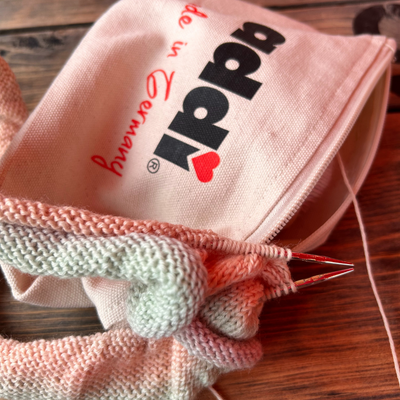Addi bag and knititng