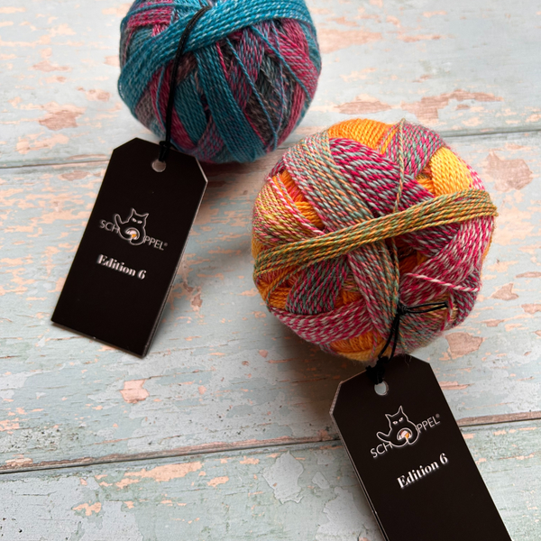 Knitting with EDITION 6