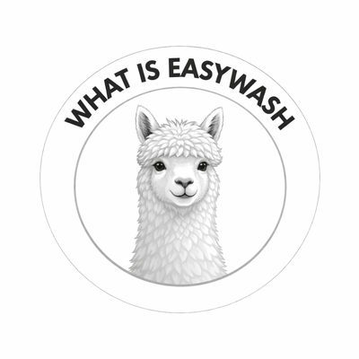 What Is Easywash?