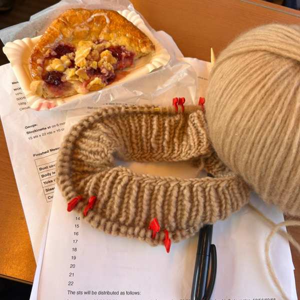 Honeymoon Knitting, Day 4