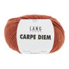 Ball of yarn with 'Lang Yarns Carpe Diem' label on a white background