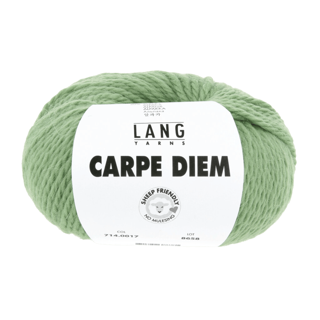 LANGYARNS Knitting Pattern Large - 13 balls / Green 714.0017 IDA Top Down Sweater Pattern Bundle in Carpe Diem by LANGYARNS | Fatto a Mano 282-025