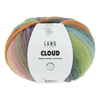Lang Yarns Yarn Blue / Orange / Green / Pink LANGYARNS | Cloud | Chunky | 1077