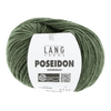 Lang Yarns Yarn Dark Olive LANGYARNS | Poseidon | Worsted / Aran | 1128