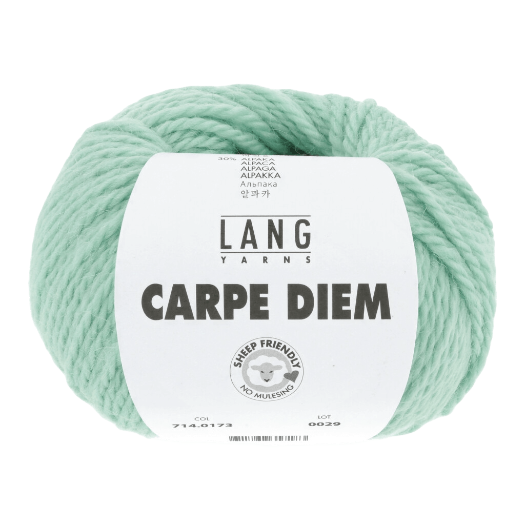 Lang Yarns Yarn Light Jade LANGYARNS | Carpe Diem | Worsted / Aran | 714