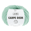 Lang Yarns Yarn Light Jade LANGYARNS | Carpe Diem | Worsted / Aran | 714
