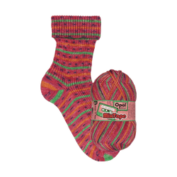 Opal Sock Yarn 11497 - Songs for my Love (Mix fürs Schätzle) Opal | Sock Wool | Mixtape | 4-Ply