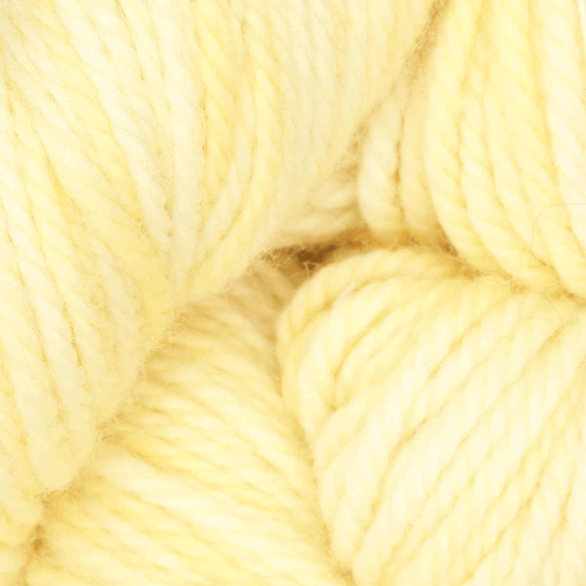 Oxford Rug Company rug punch needle Buttered Popcorn The Oxford Company | Fine Yarn | Variegated | 5 Pack