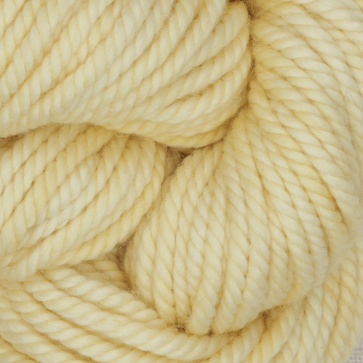 Oxford Rug Company rug punch needle Buttered Popcorn The Oxford Company | Rug Yarn | Variegated | 5 Pack