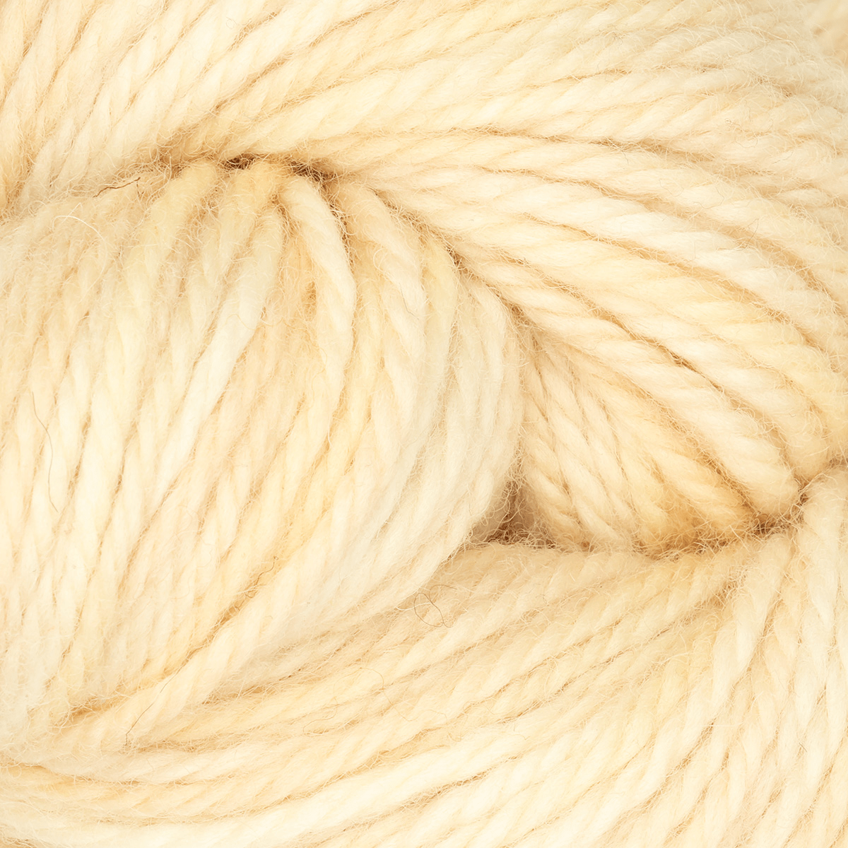 Oxford Rug Company rug punch needle Caribbean Sands The Oxford Company | Fine Yarn | Variegated | 5 Pack