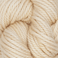 Oxford Rug Company rug punch needle Caribbean Sands The Oxford Company | Rug Yarn | Variegated | 5 Pack