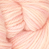 Oxford Rug Company rug punch needle Cheeky Monkey The Oxford Company | Fine Yarn | Variegated | 5 Pack