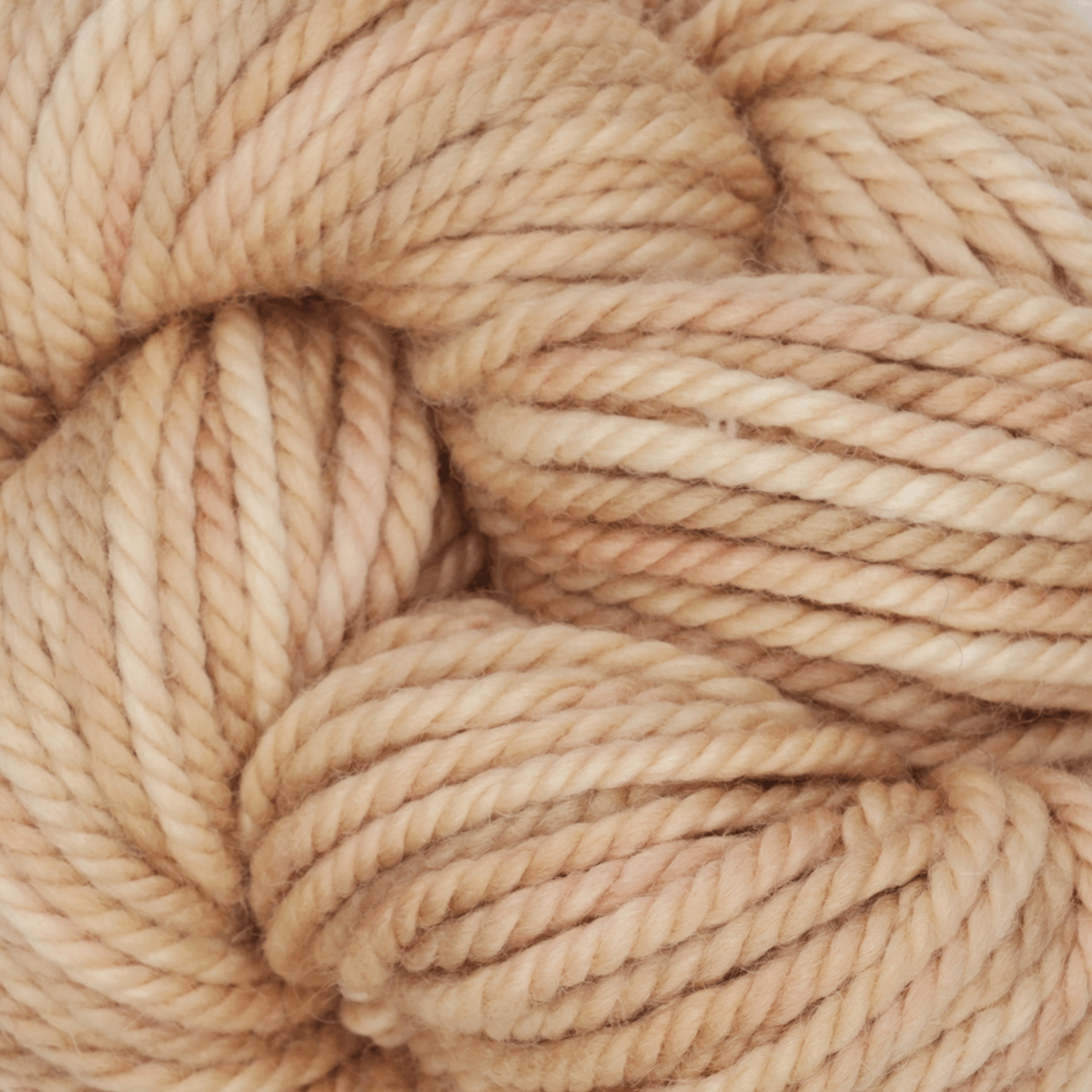 Oxford Rug Company rug punch needle Desert Sands The Oxford Company | Rug Yarn | Variegated | 5 Pack