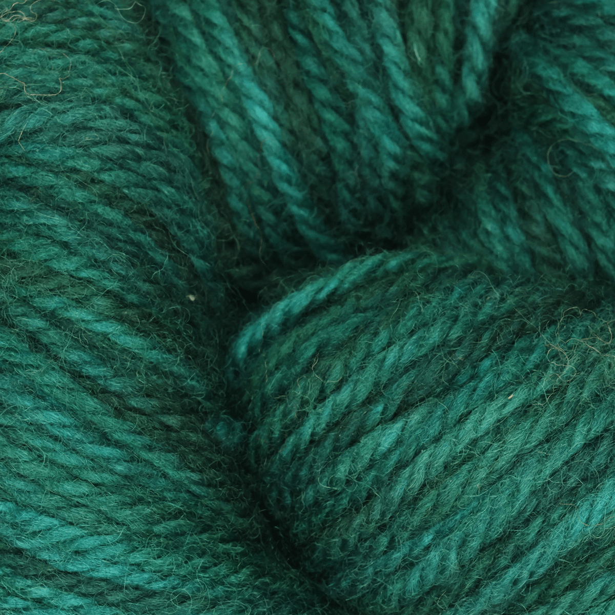 Oxford Rug Company rug punch needle Evergreen Dark The Oxford Company | Fine Yarn | Variegated | 5 Pack