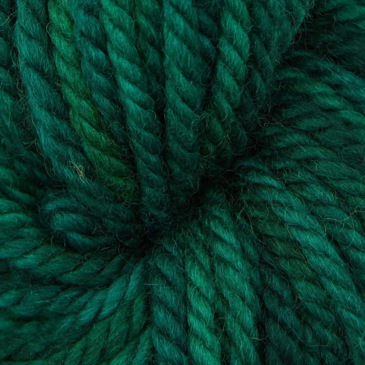 Oxford Rug Company rug punch needle Evergreen Dark The Oxford Company | Rug Yarn | Variegated | 5 Pack