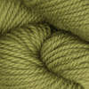 Oxford Rug Company rug punch needle Green Olive The Oxford Company | Fine Yarn | Solid Colours | 5 Pack