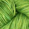 Oxford Rug Company rug punch needle Leaf Me Alone The Oxford Company | Fine Yarn | Variegated | 5 Pack