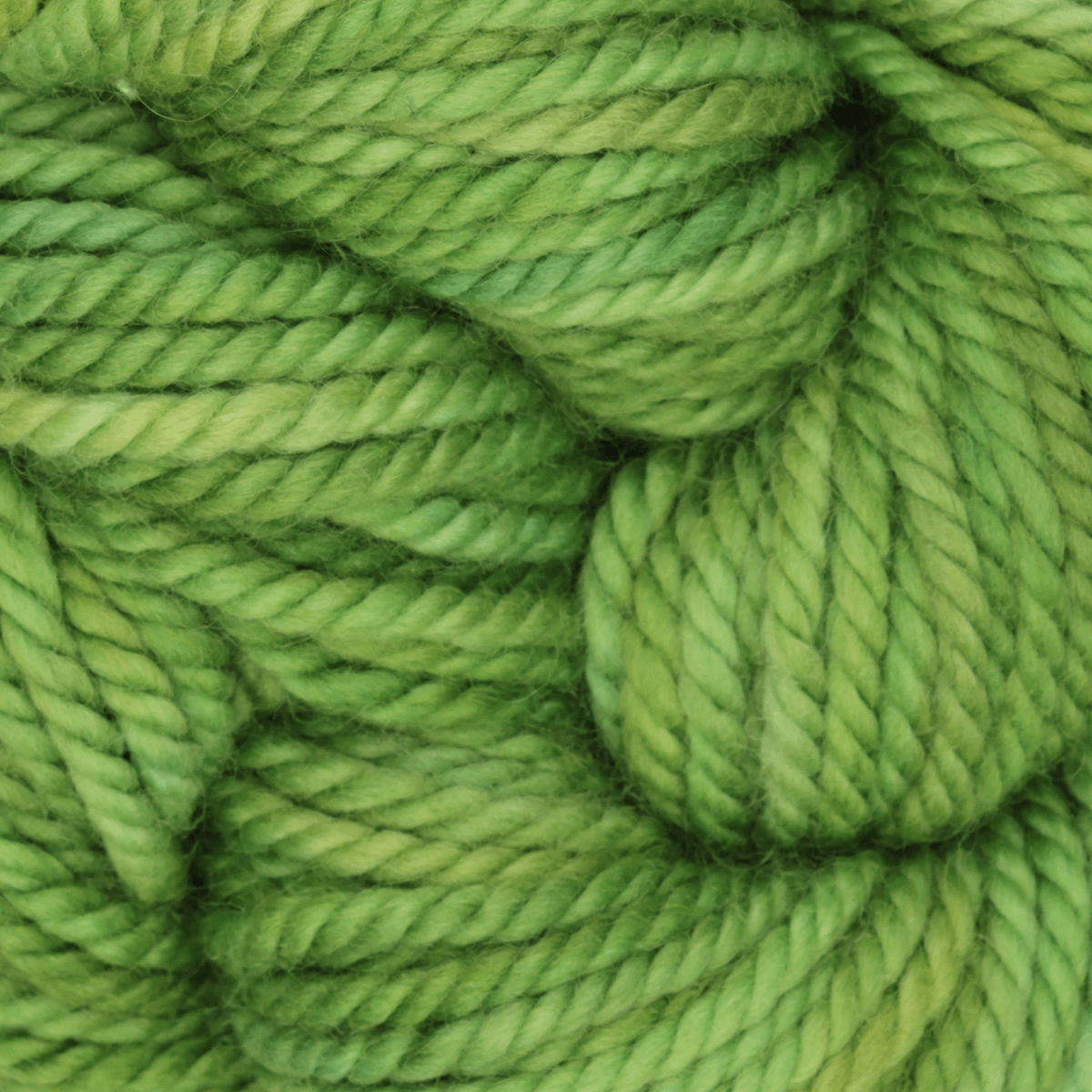 Oxford Rug Company rug punch needle Leaf Me Alone The Oxford Company | Rug Yarn | Variegated | 5 Pack