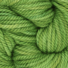 Oxford Rug Company rug punch needle Leaf Me Alone The Oxford Company | Rug Yarn | Variegated | 5 Pack