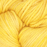 Oxford Rug Company rug punch needle Lemon Zest The Oxford Company | Fine Yarn | Variegated | 5 Pack
