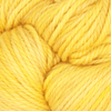 Oxford Rug Company rug punch needle Lemon Zest The Oxford Company | Fine Yarn | Variegated | 5 Pack