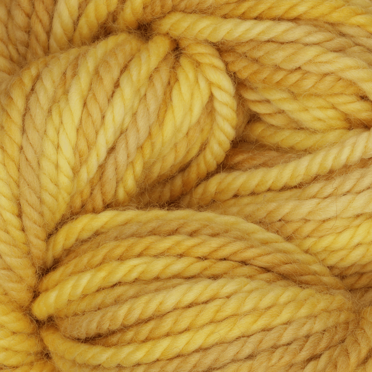 Oxford Rug Company rug punch needle Lemon Zest The Oxford Company | Rug Yarn | Variegated | 5 Pack